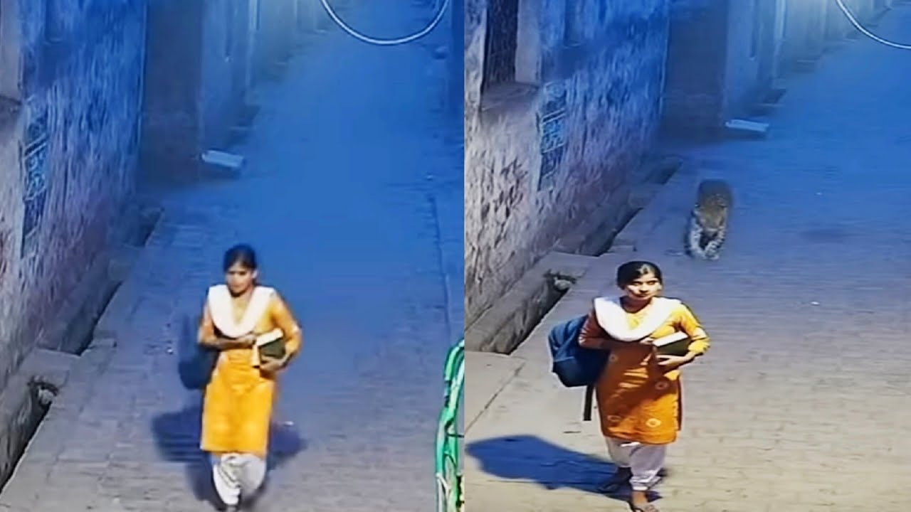 கேமராவில் பதிவான மிரள வைக்கும் நம்ப முடியாத சம்பவங்கள்/ Unbelievable Moments Caught On Camera