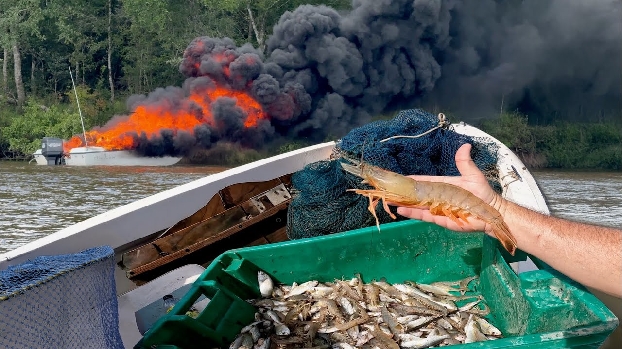 When a Normal Day Turns Tragic in a Hurry! (Wild Shrimp Catch & Cook)