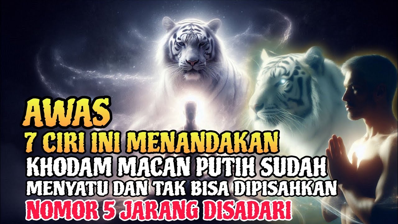 Bukan Kebetulan❗7 Tanda Ini Bukti Khodam Macan Putih Sudah Menyatu dengan Tubuhmu