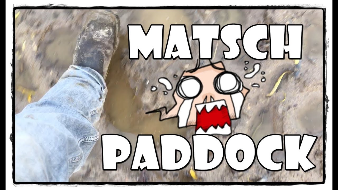 Pferde im Offenstall - Matsch Paddock | Pferde Hoschi