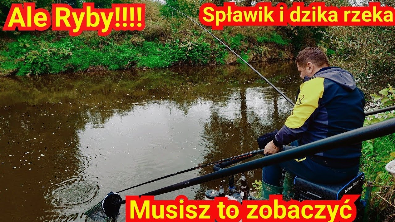 Niemożliwe co tu się działo !!! BRANIE ZA BRANIEM !! ryby odpaliły na spławik