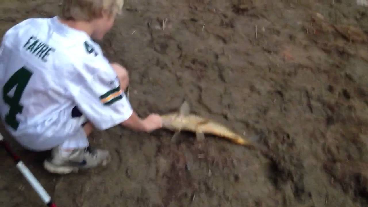 Carp Fishing at Liberty