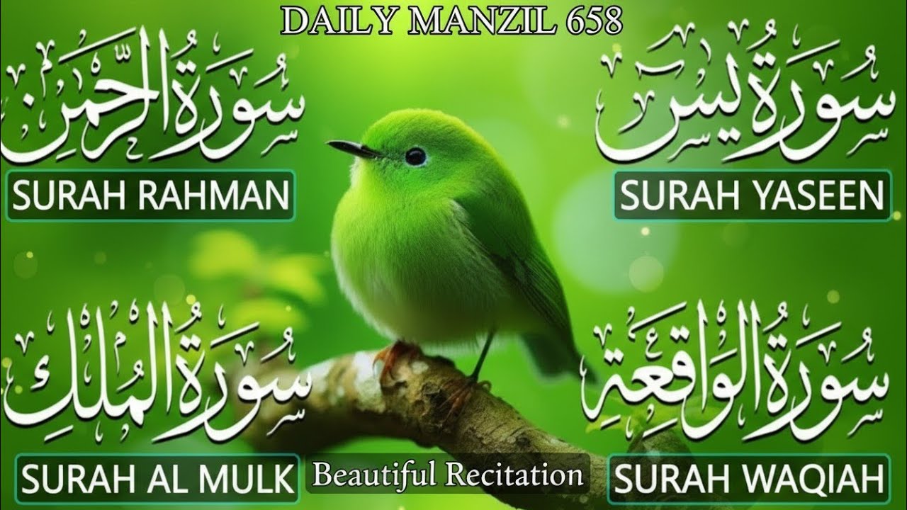 Surah Yaseen (Yasin) | Surah Rahman | Surah Waqiah | Surah Mulk | Beautiful Quran Recitation