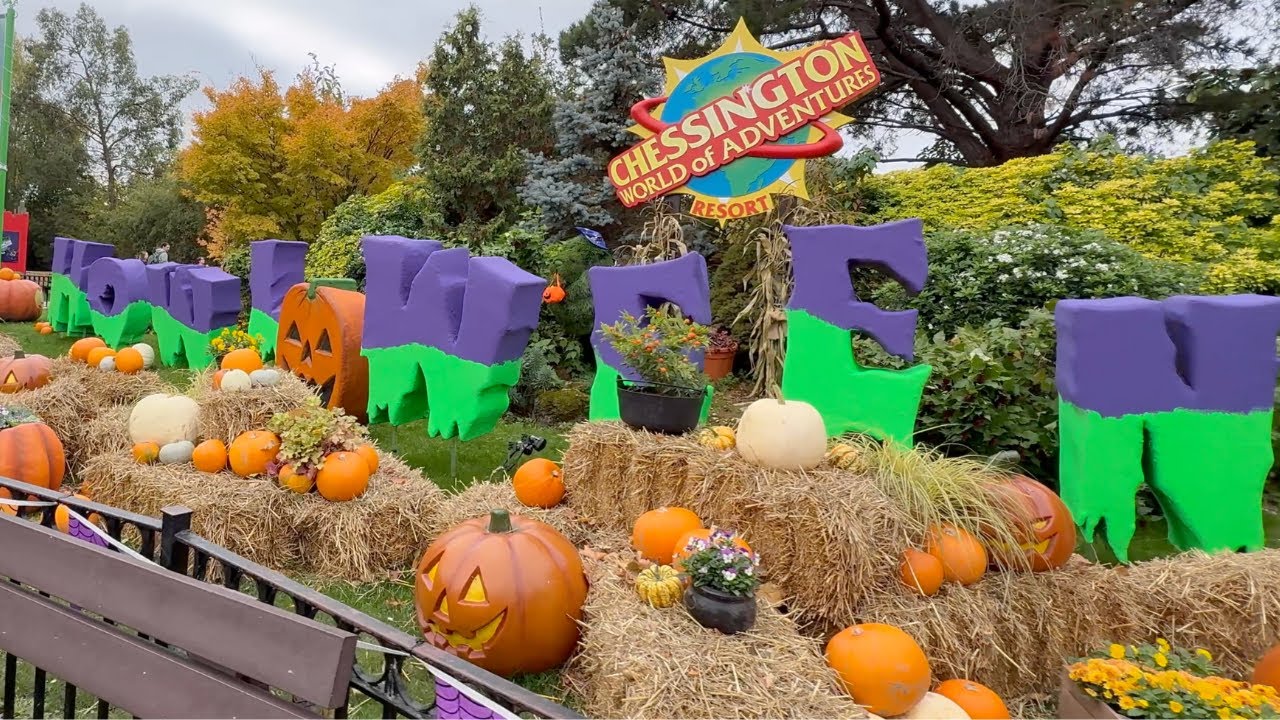 Pumpkins, Dragons, and Spooky Surprises Await!