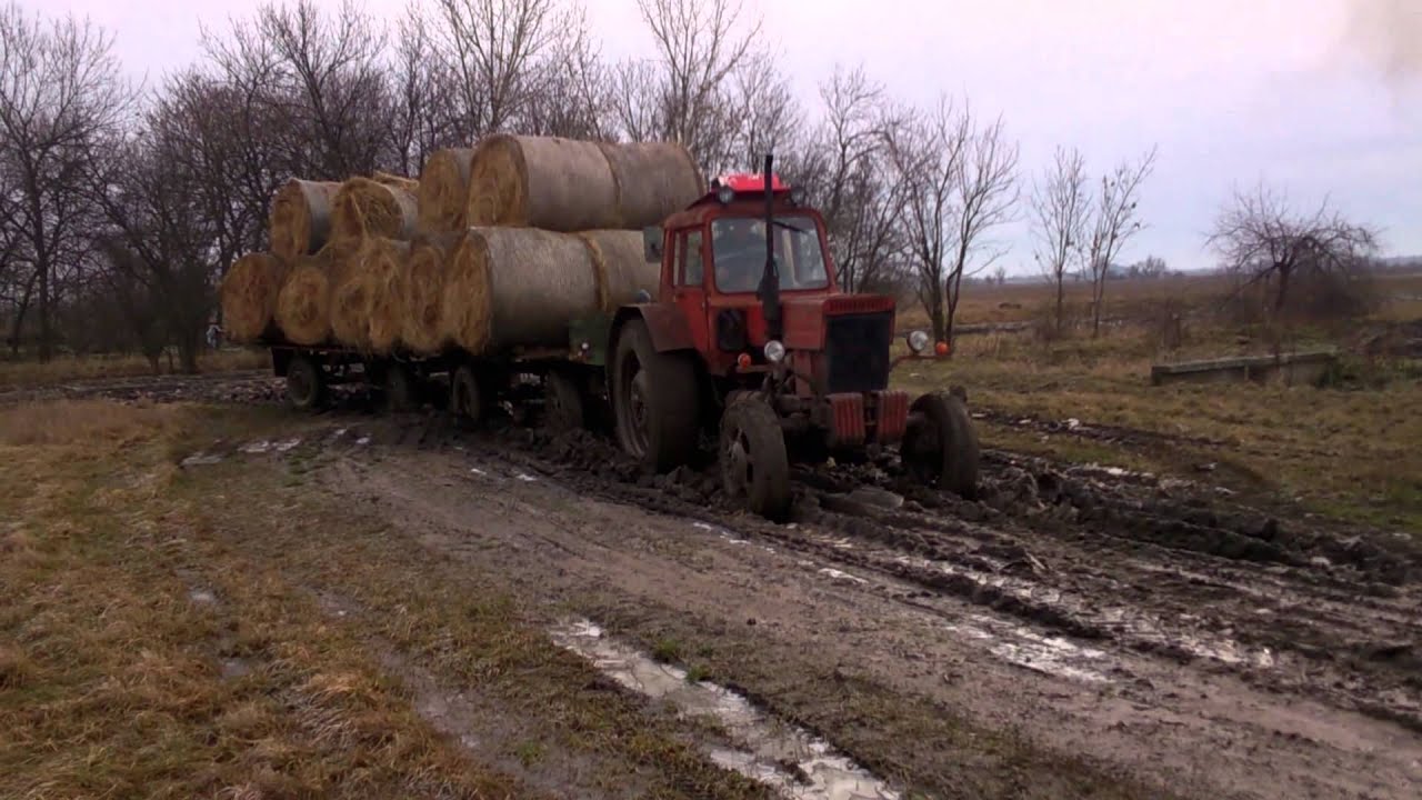 Mtz 82 + 2 pótkocsi (széna hordás sárban)