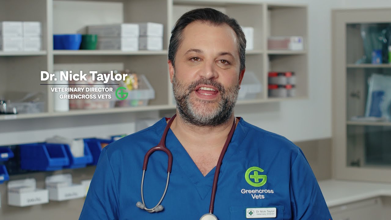 Set Up Your Pet's Dental Routine: Vet Advice from Dr. Nick Taylor