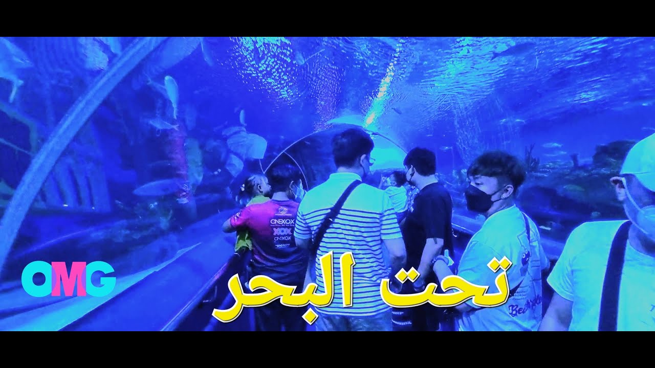 اكواريوم كولالمبور عالم البحر ماليزيا البرجين التوأم