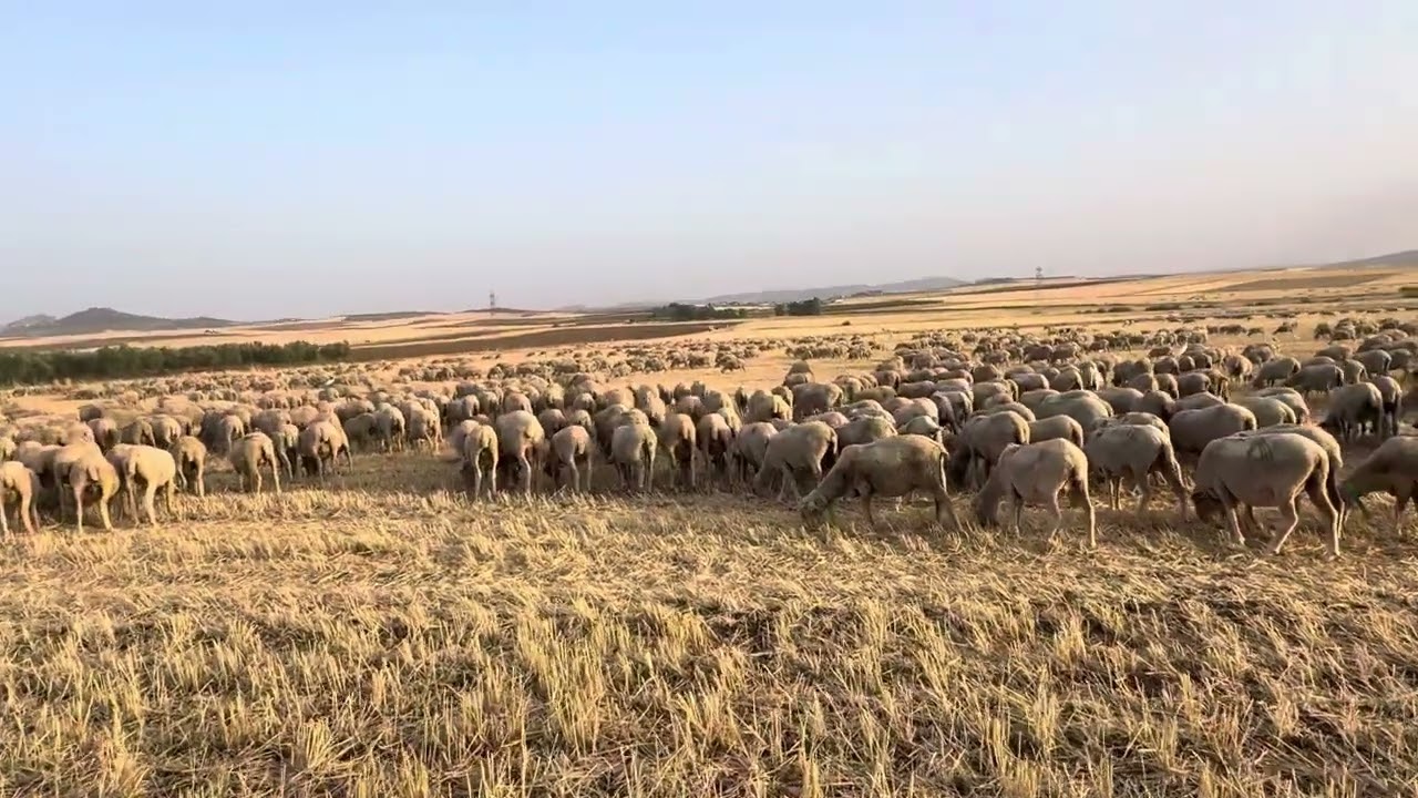 Seguimos avanzando para que ellas no anden 