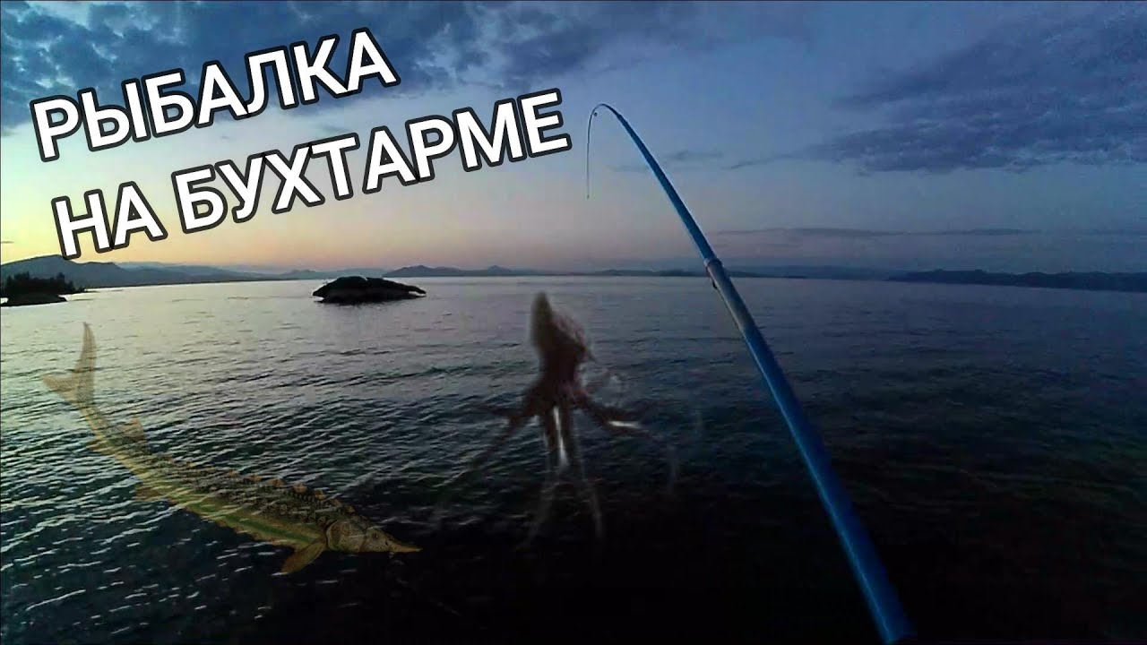 Усть-Каменогорск - Бухтарма 2024 РЫБАЛКА Серия 4 ВОТ ЧТО Я ПОЙМАЛ