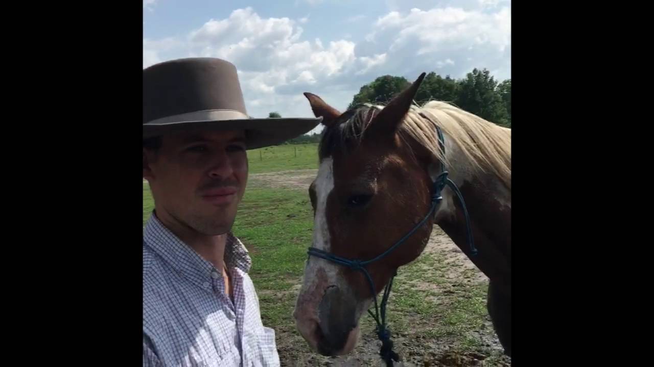 Desensitizing A Horse To Water