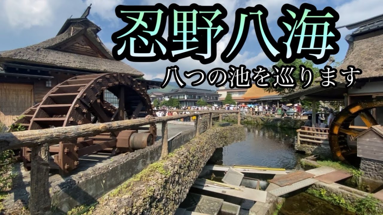 忍野八海の歩き方、８つの池を巡ります！鉄道がない忍野村【山梨県南都留郡忍野村】