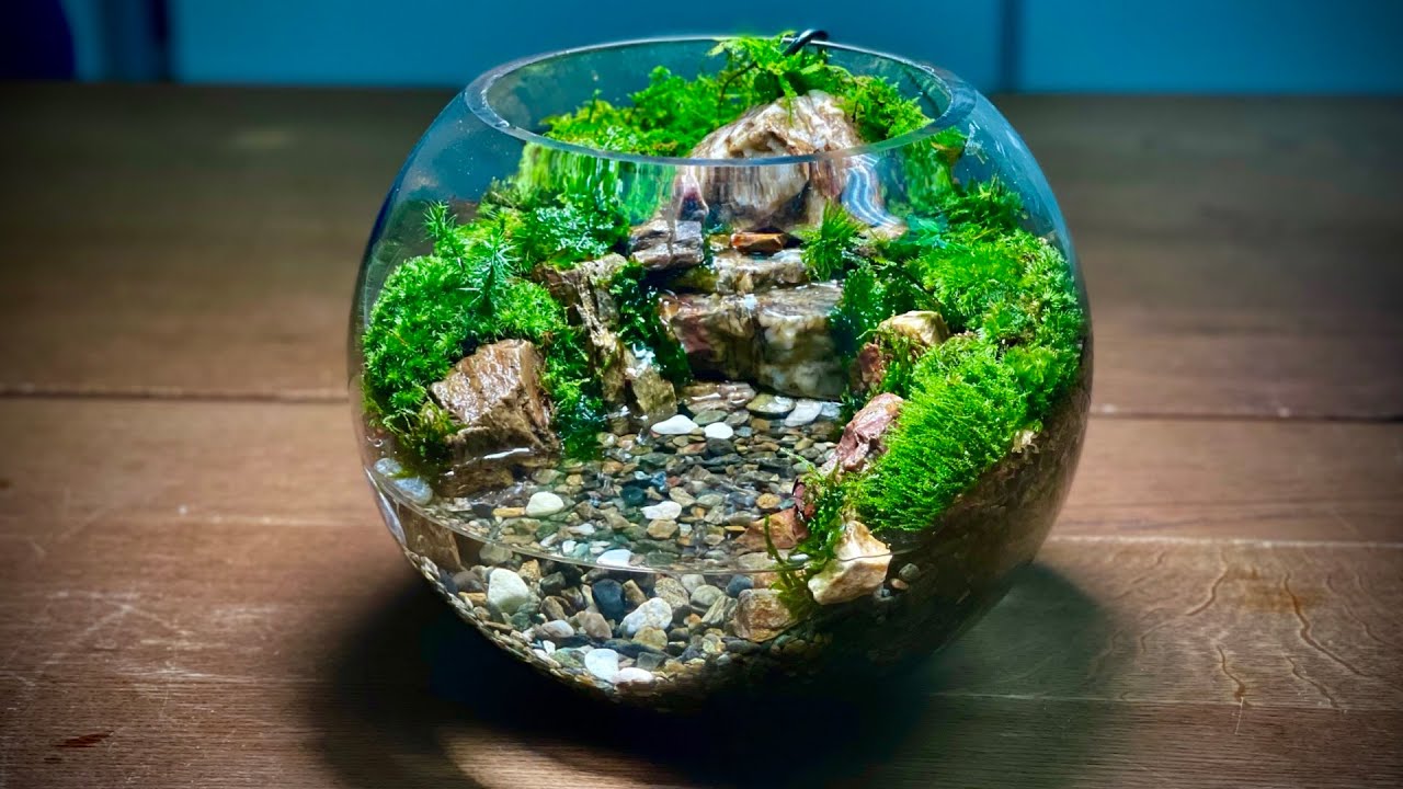 【苔テラリウム】水の流れる苔テラリウムを作ってみた