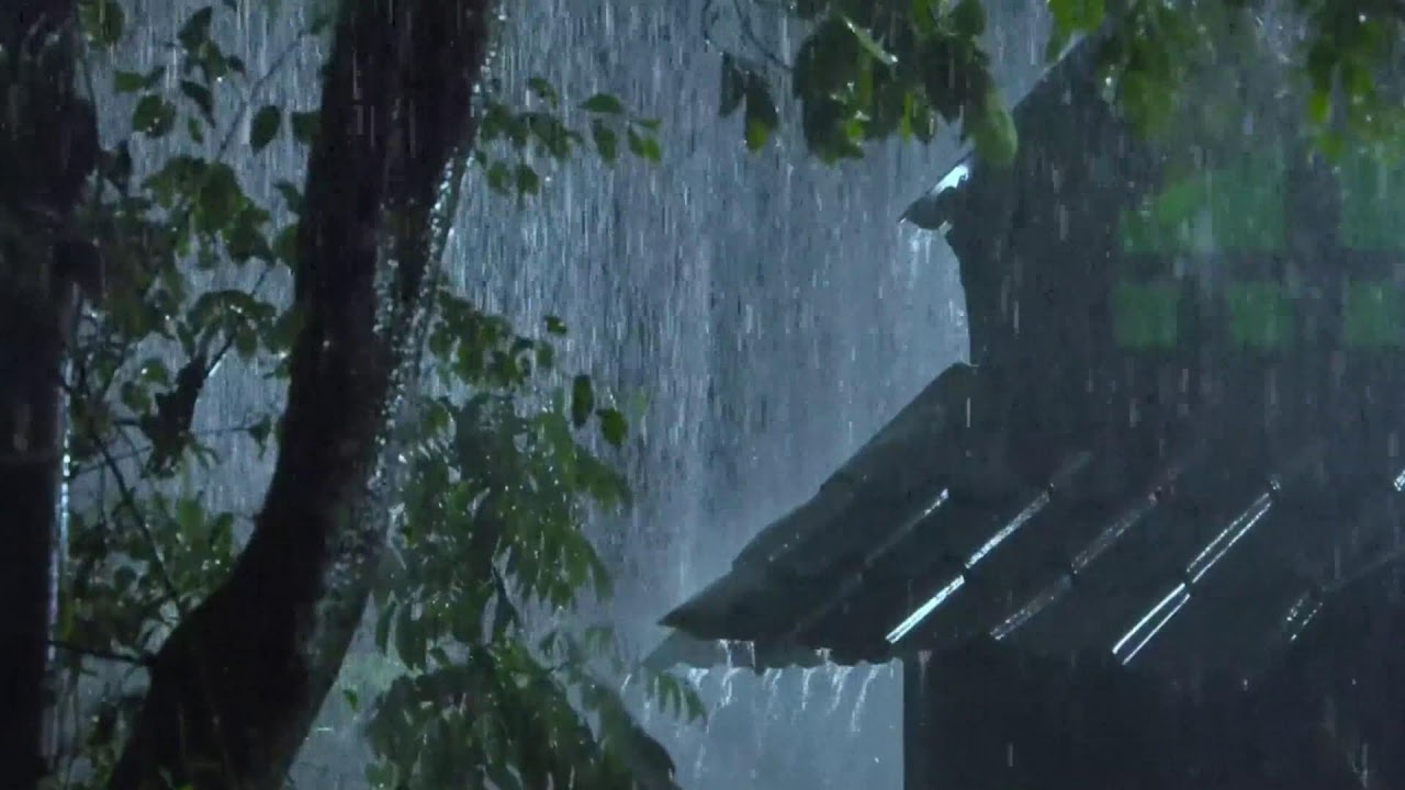 Melt Stress Away: Deep Window Rain ASMR for Instant Calm, Focus, & Serene Sleep. Pure Bliss.