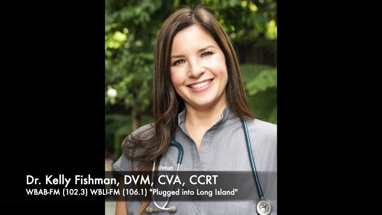 Keeping Dogs Strong, Healthy and Moving in Winter