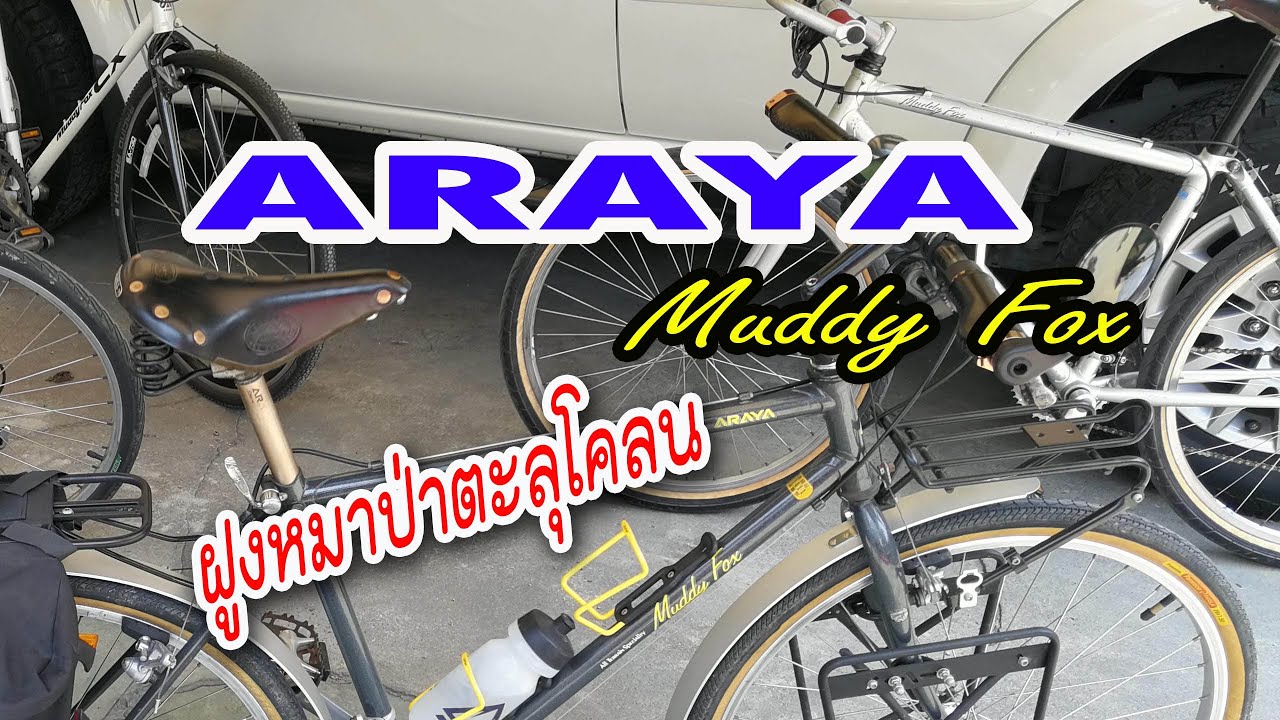 ARAYA Muddy Fox ฝูงหมาป่าตะลุยโคลน