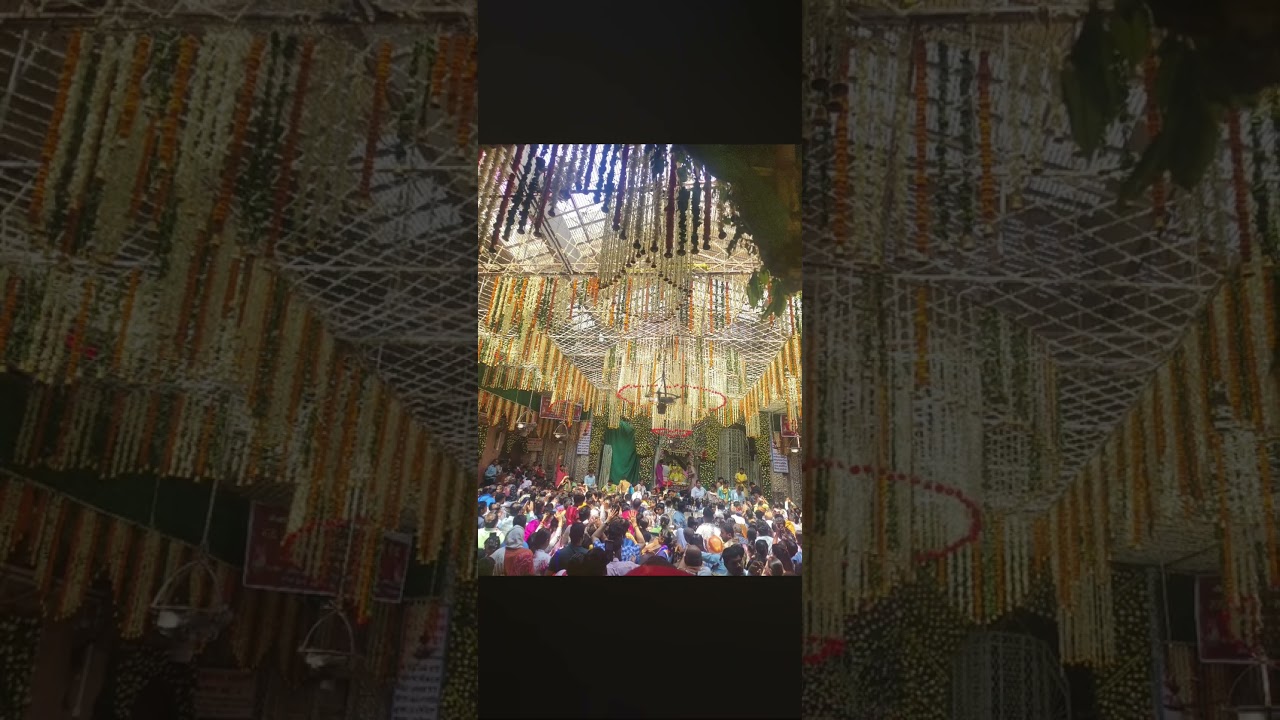 Shree Banke Bihar Lal Ji k Bhavya Phool Bagle k Darshan #bankebihari #vrindavan #phoolbangla #radhe
