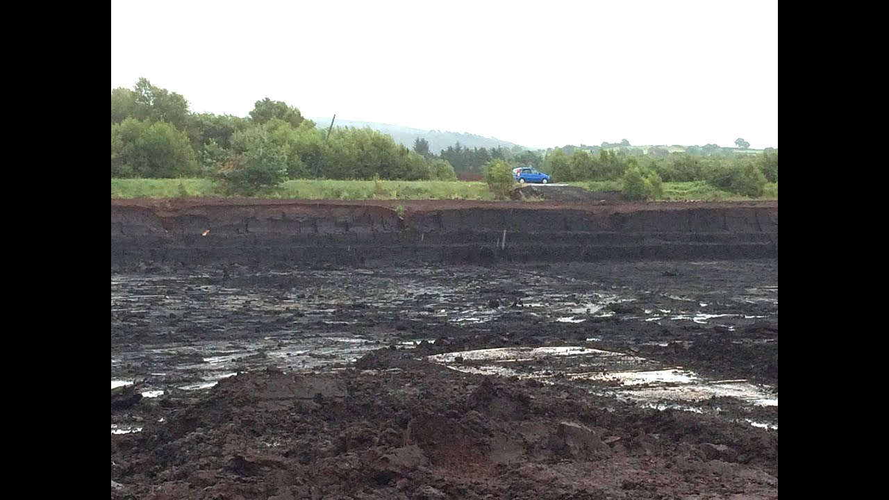 SAVE OUR BOGS