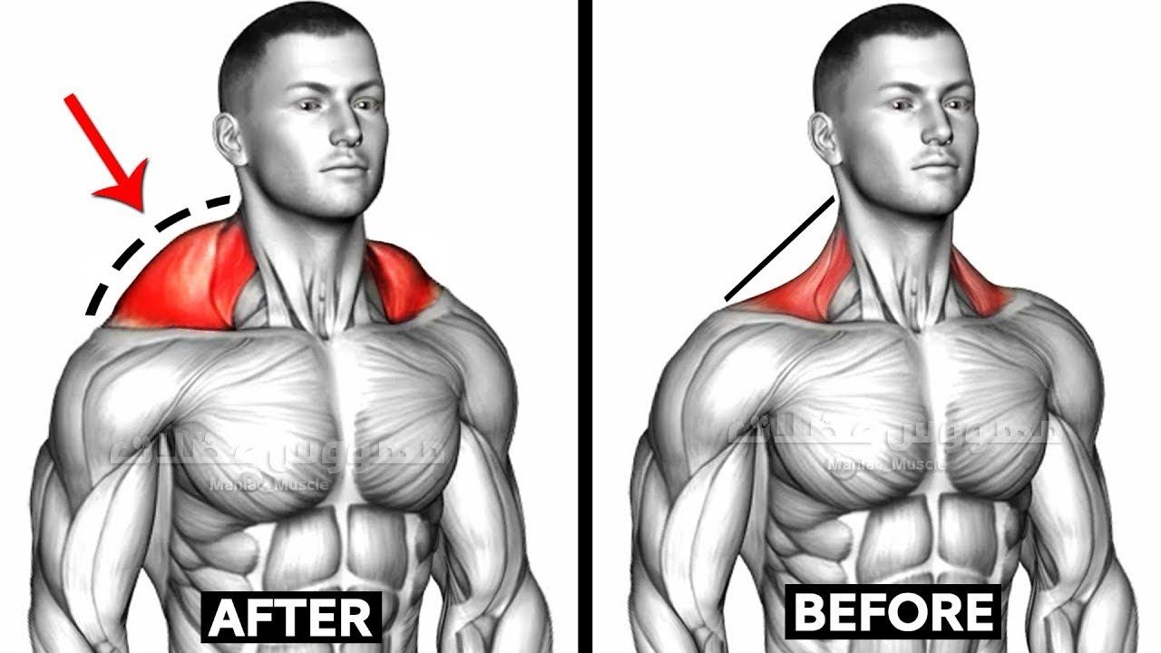 BEST UPPER TRAPS EXERCISES