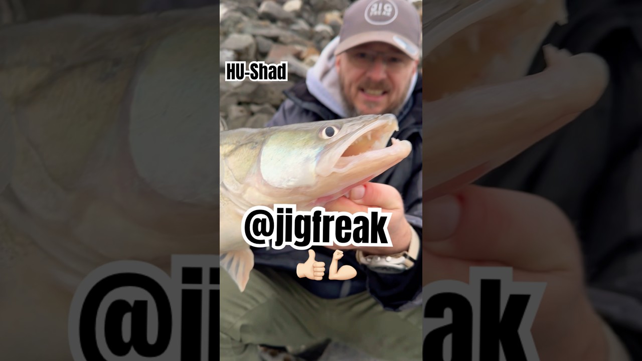 Zander angeln Ufer J&auml;nner 💪🏻 #angeln #jigfishing #danube #zander @jigfreak #jigfishing
