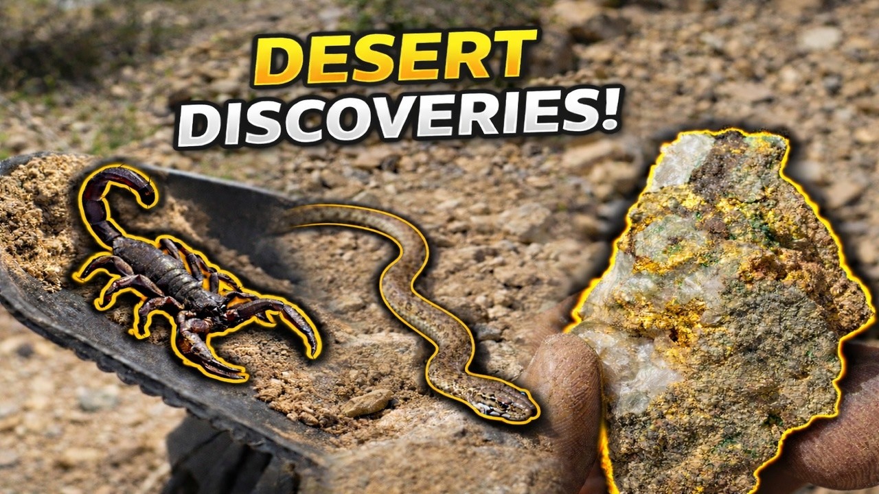 👉 Snakes, Scorpions & GOLD… What Did We Get Into?! (Quartzsite Arizona)