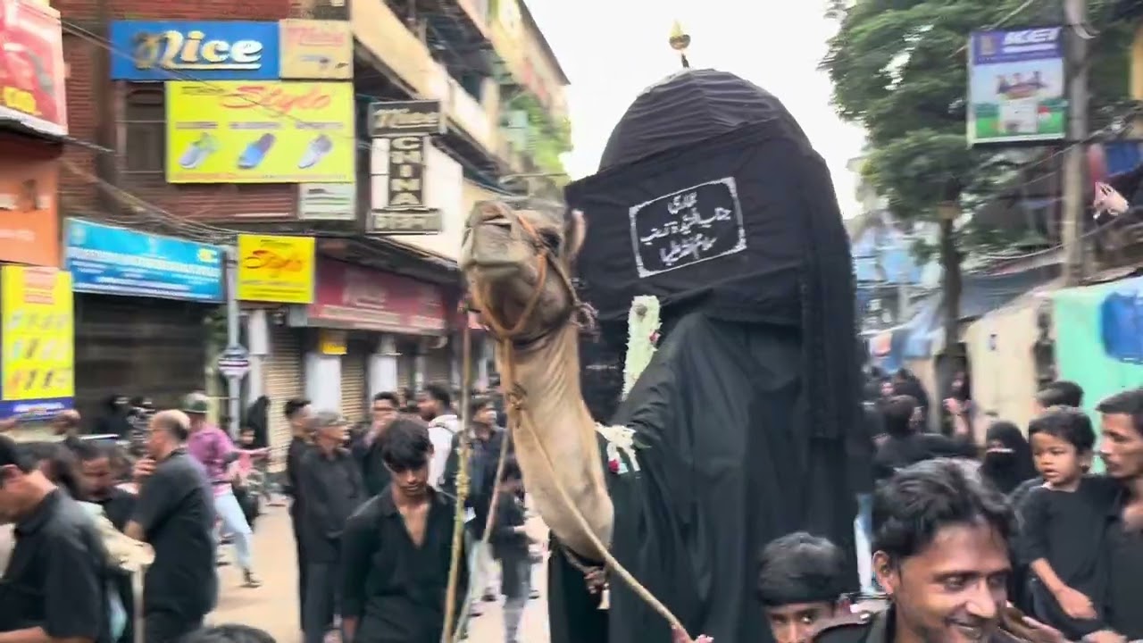 Juloos e Amari 2025 Azadari Calcutta 
