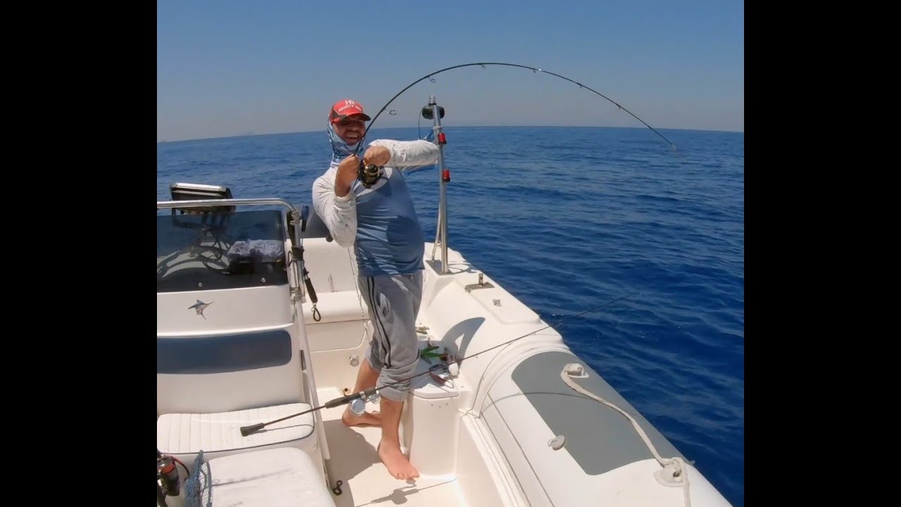Φαγγρί 2.7kg με Slow Jigging στα ρηχά με Shout Lance!