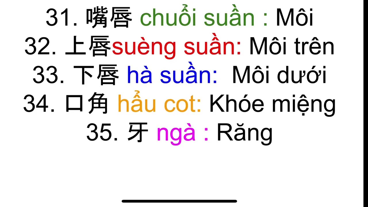 Thông thả học tiếng Quảng Đông bài 1059: 200 từ vựng cơ thể con người