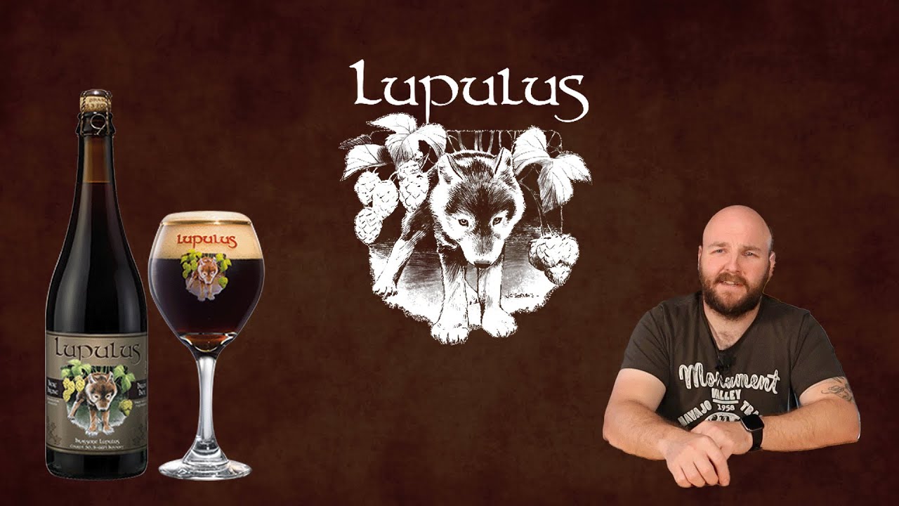 Brew Review 079 - Lupulus Brune (Lupulus)