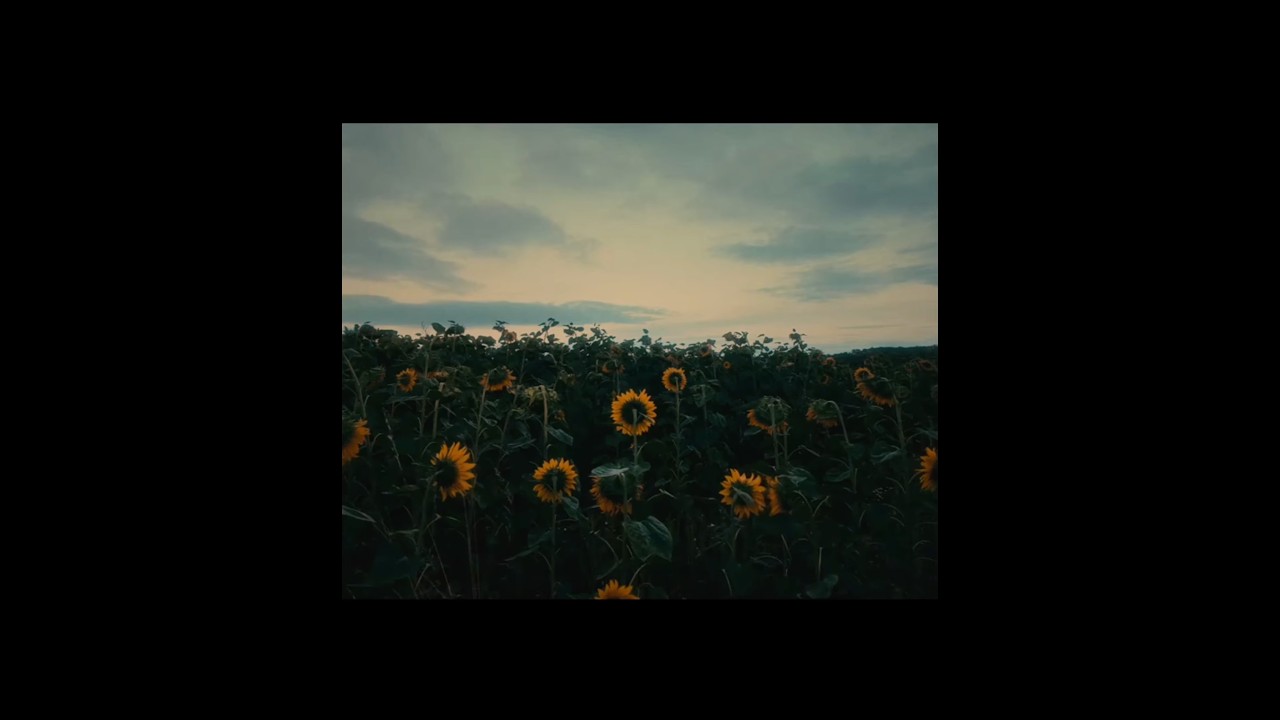 KYRVE - ondra [Visualizer]