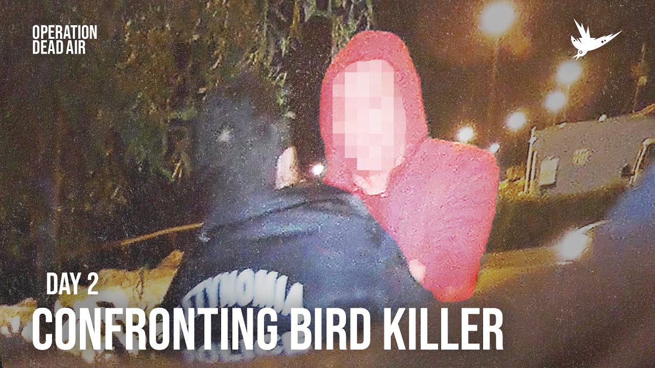 Confronting One of Europe's Biggest Illegal Hunters | #OperationDeadAir