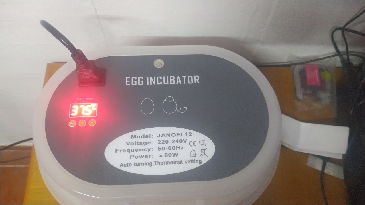 #Incubadora