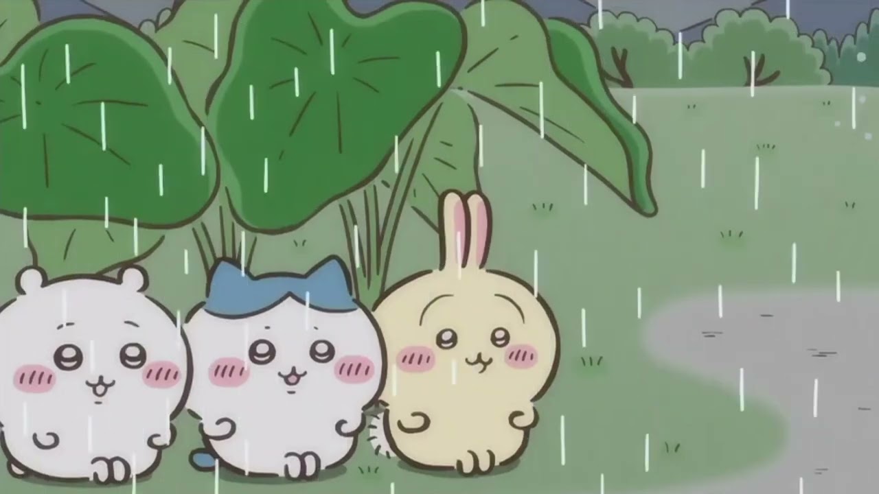땅이 물을 잔뜩 머금어서☔ 비 오는 날의 햄냥토