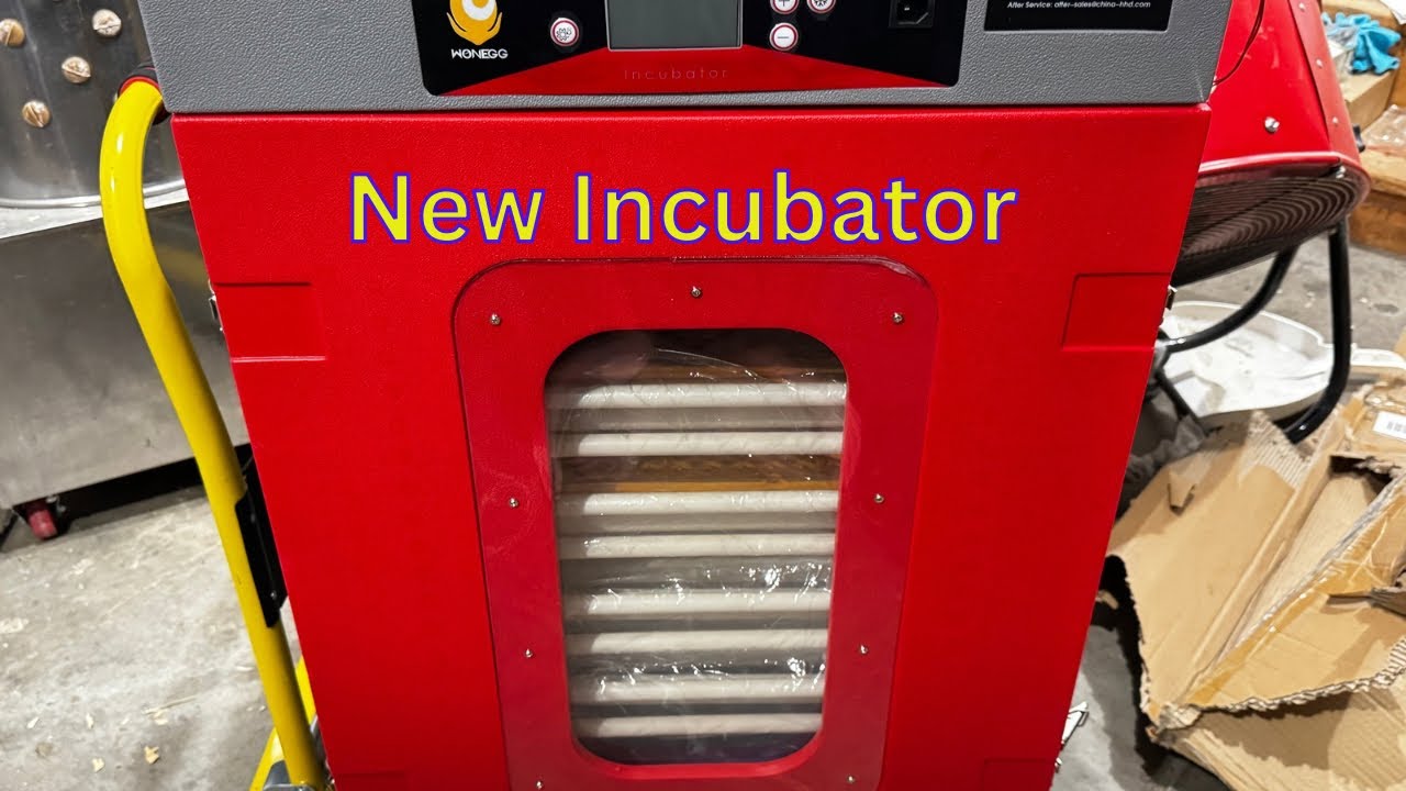 New 400 egg incubator 