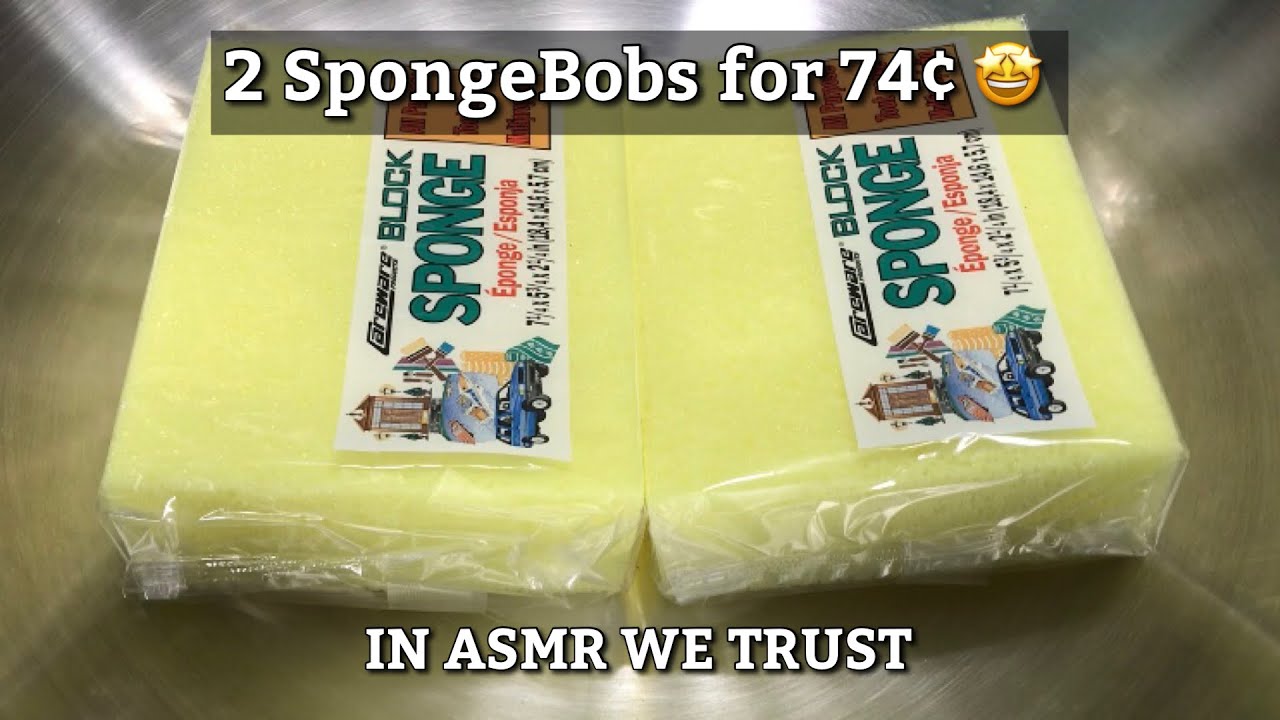 ASMR 🍍 New SpongeBob Sponges ✨ I got these block sponges for $0.74 ✨ Ace Hardware Block Sponges