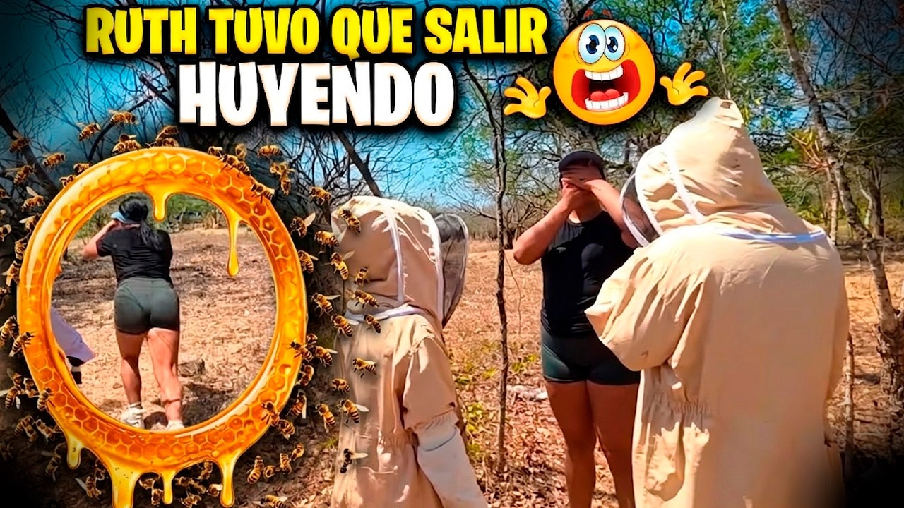 Ruth quiso desafiar a las abejas y entrar sin traje a la colmena pero miren lo que paso al final