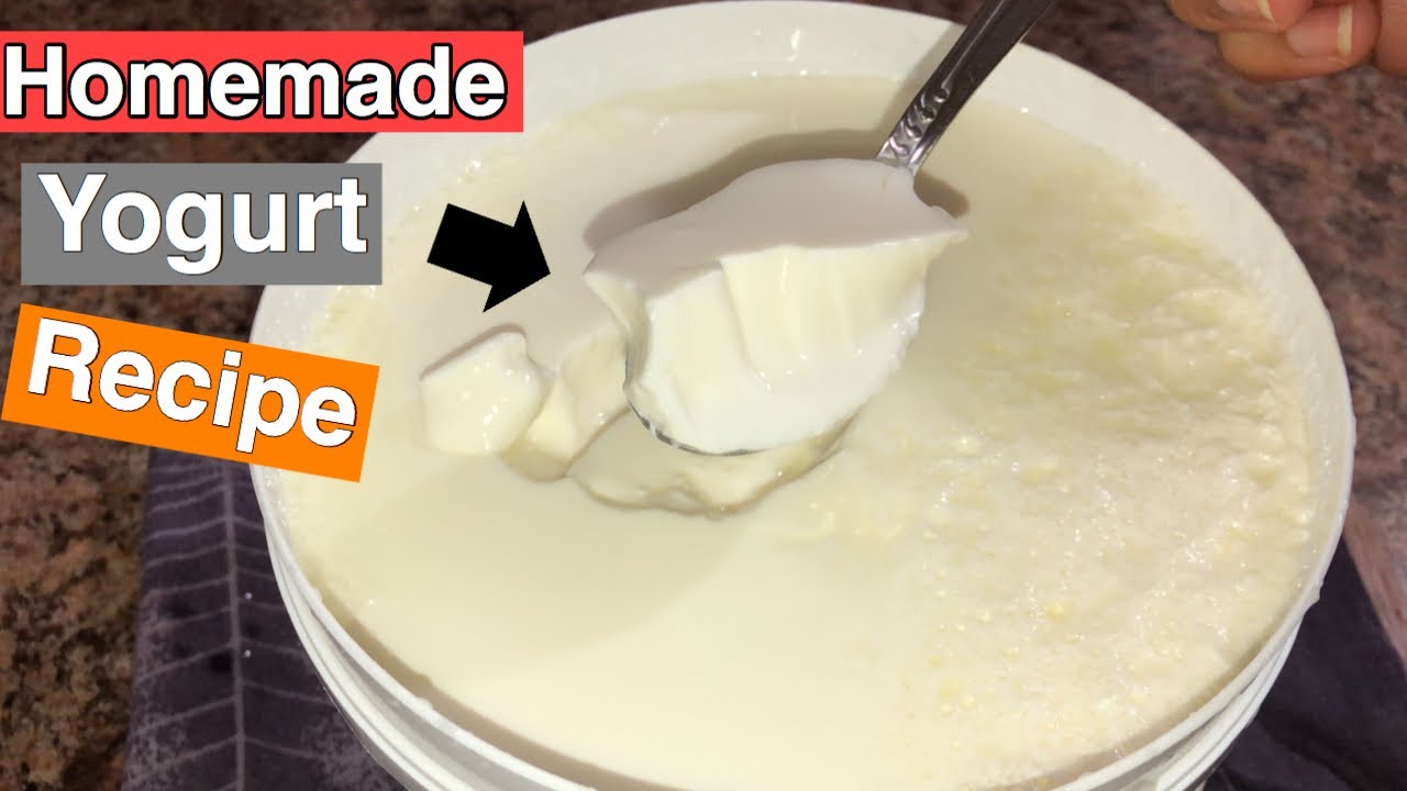 How to Make Yogurt at Home | Homemade Yogurt Recipe