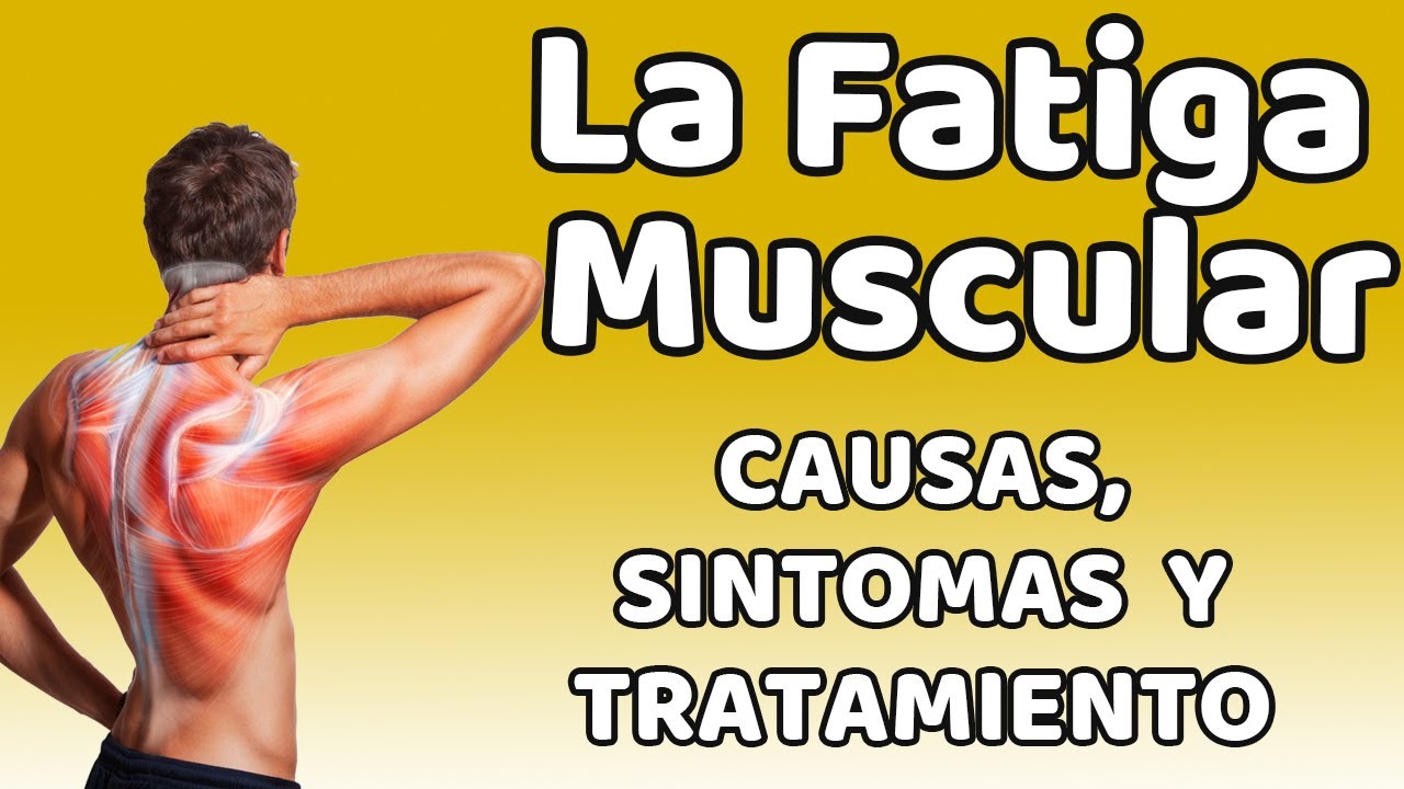 LA FATIGA MUSCULAR, Causas, signos y s&iacute;ntomas, diagn&oacute;stico y tratamiento