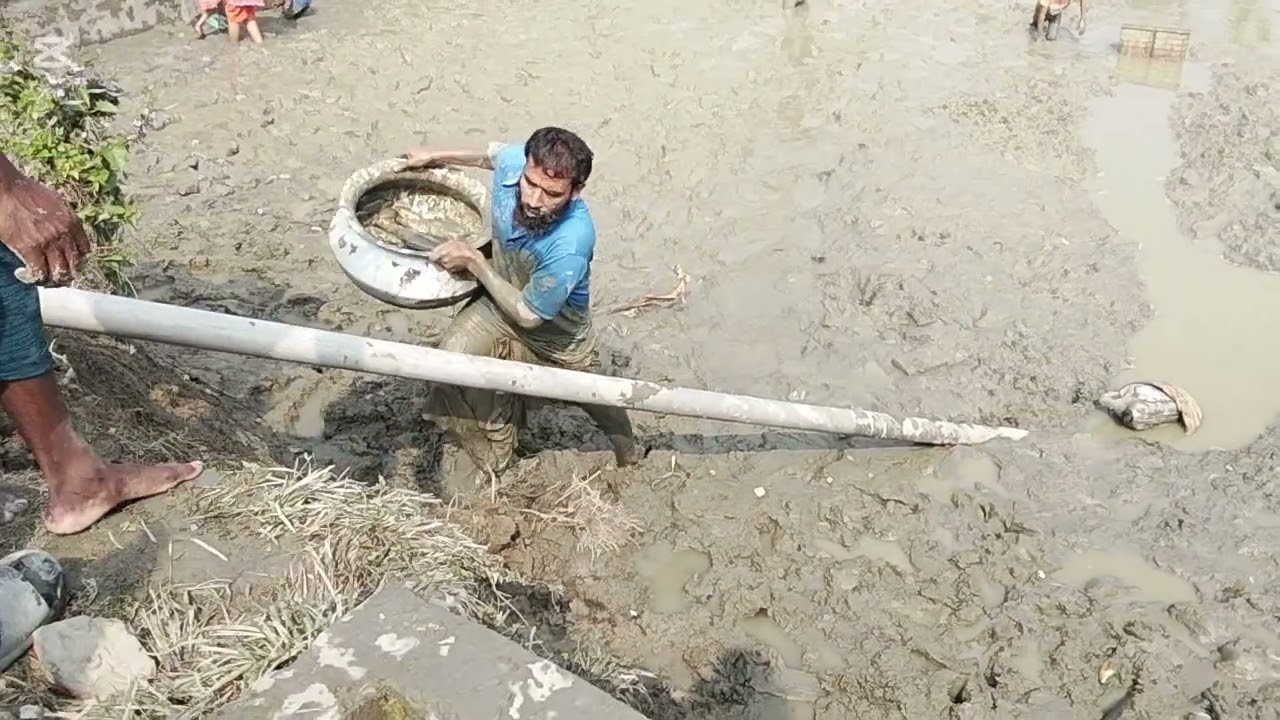 আজকে আমরা পুকুরে সব মাছ ধরে ফেললাম  