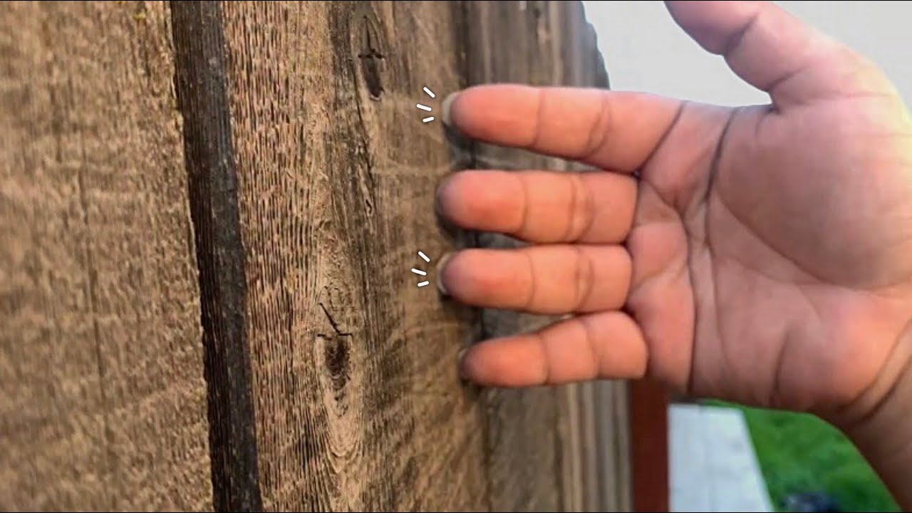 *ASMR* Build Up Tapping & Scratching Outdoors 🪵-Lofi