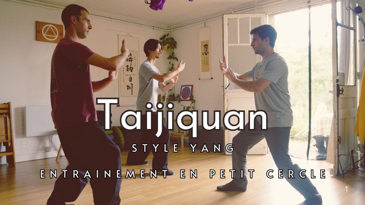 Entrainement privé de Tai Chi en région Lyonnaise