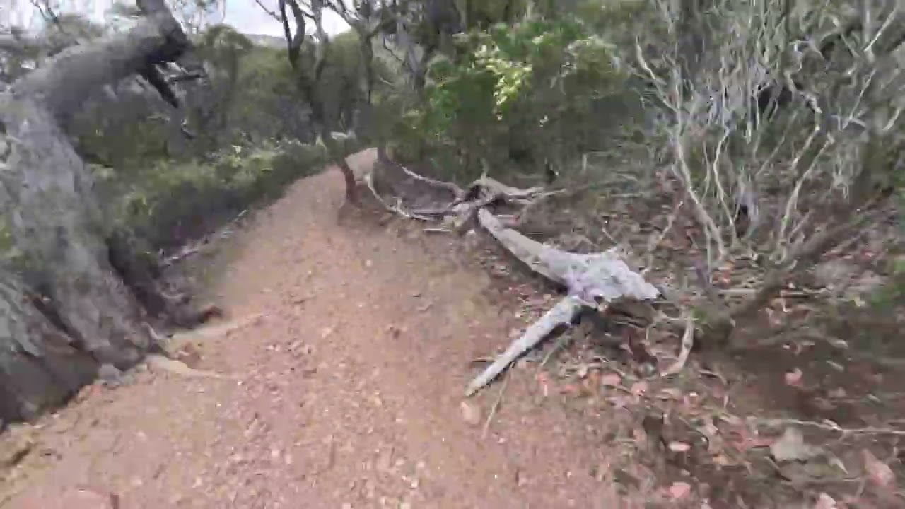 Werribee Gorge Track - Walking Tour in 10x Speed