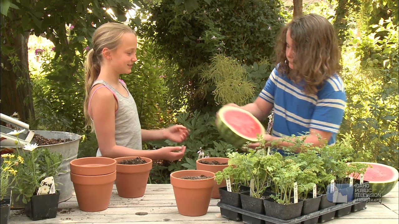 Science Trek: Botany: Botany Basics