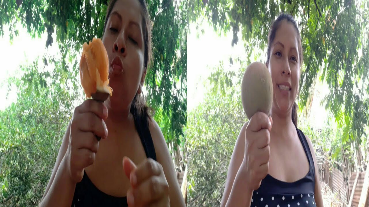 Les enseño como subir a un arbol de zapote #mequedoencasa //lis padilla