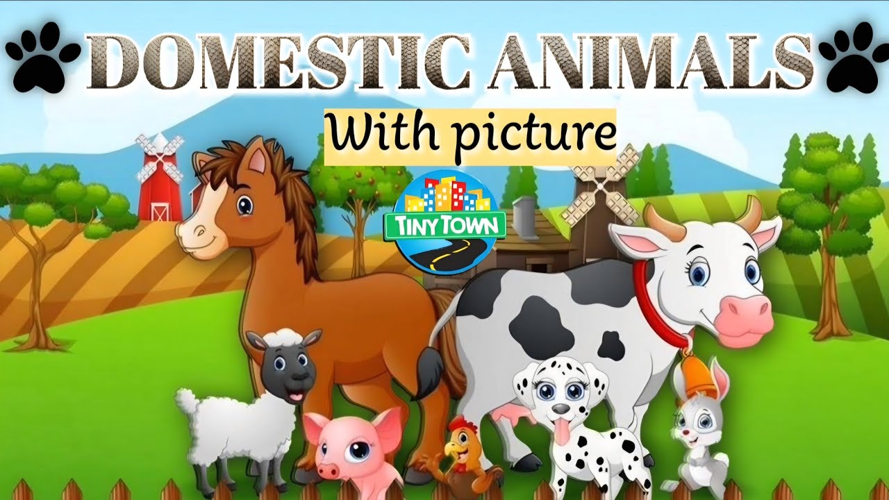 Learn Domestic Animals| Farm & Pet Animals #kidslearning #youtube #kidsfun #domesticanimals #animals