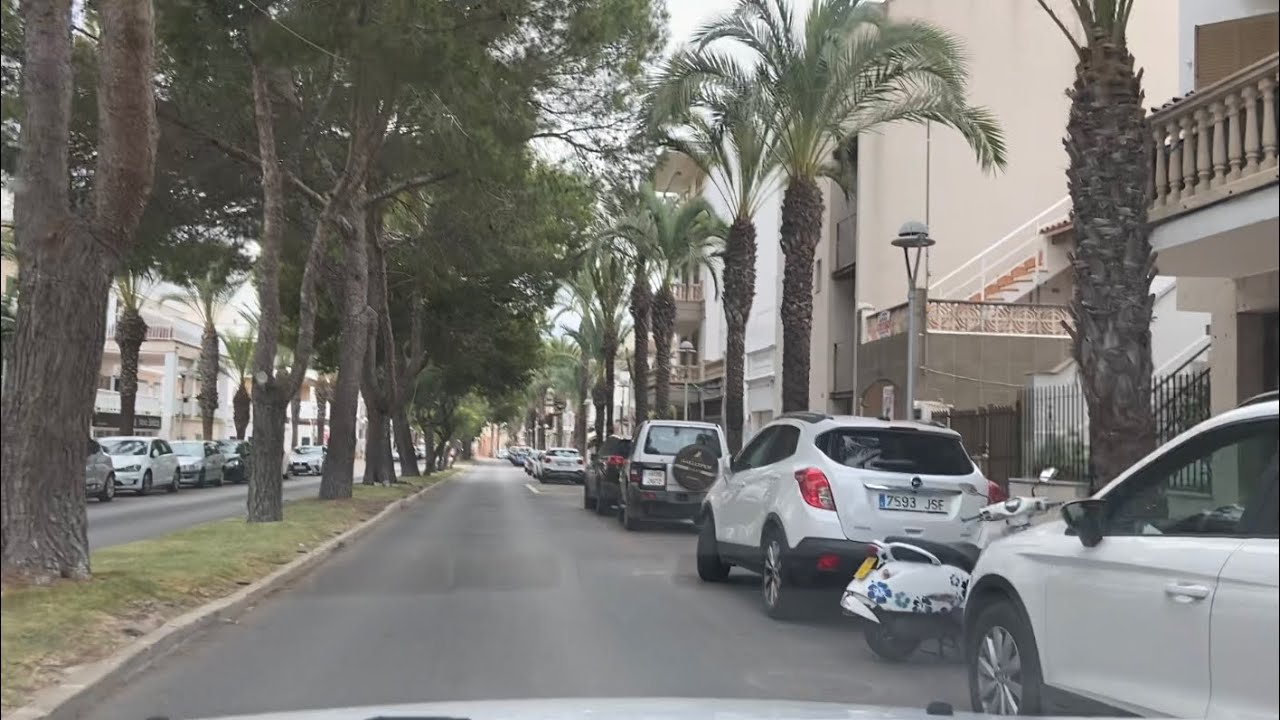 Georgy kennt keine Regeln 😂  Port d‘Alcudia - Can Picafort 💛 Mallorca