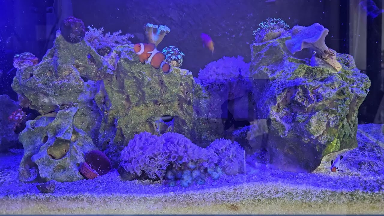 Amanhecer no reef! TIMELAPSE!