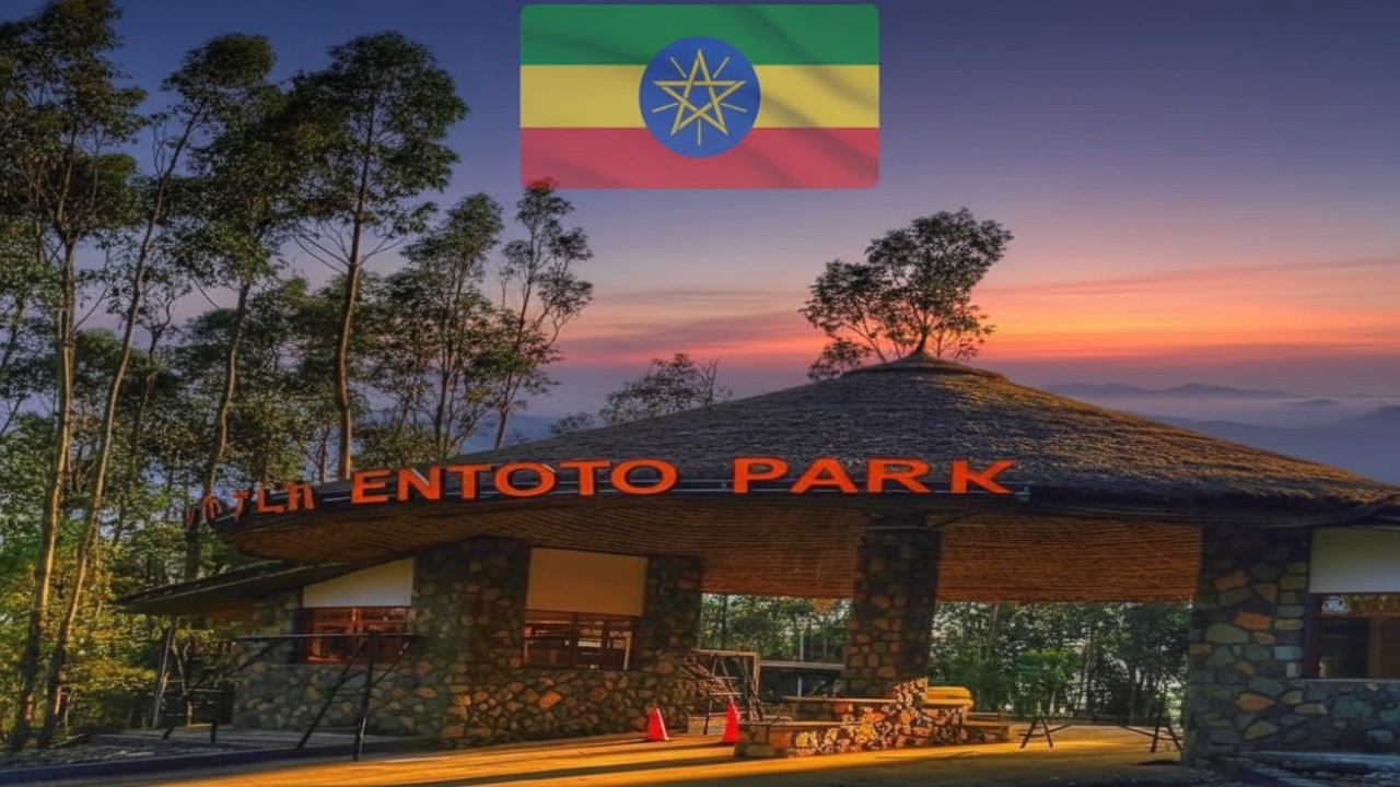 🌄 **Discover Entoto Park | The Hidden Gem of Addis Ababa 🇪🇹**
