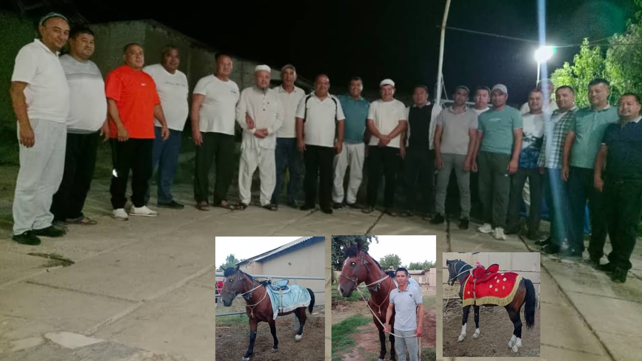 Yakkabog'dan Nurxon eshon boboni otlari boquvdan chiqdi 2024
