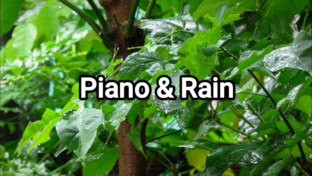 Rainfall with Gentle Piano 🌧️ | Deep Sleep & Peaceful Dreams