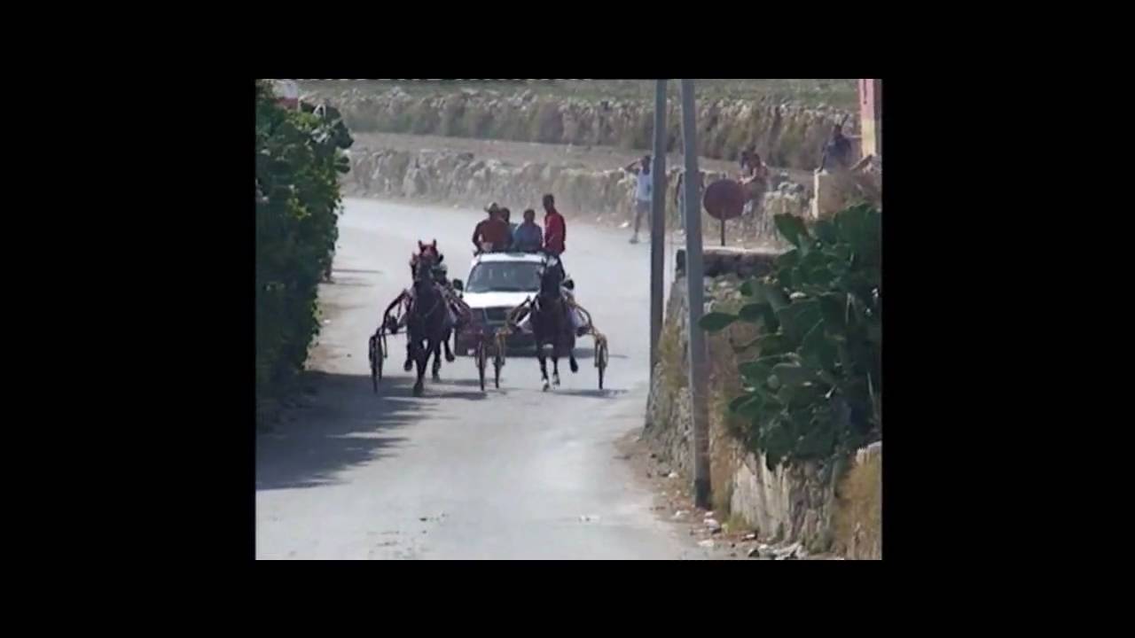 Trott : Rabat 30-08-2009 Part 1 of 2